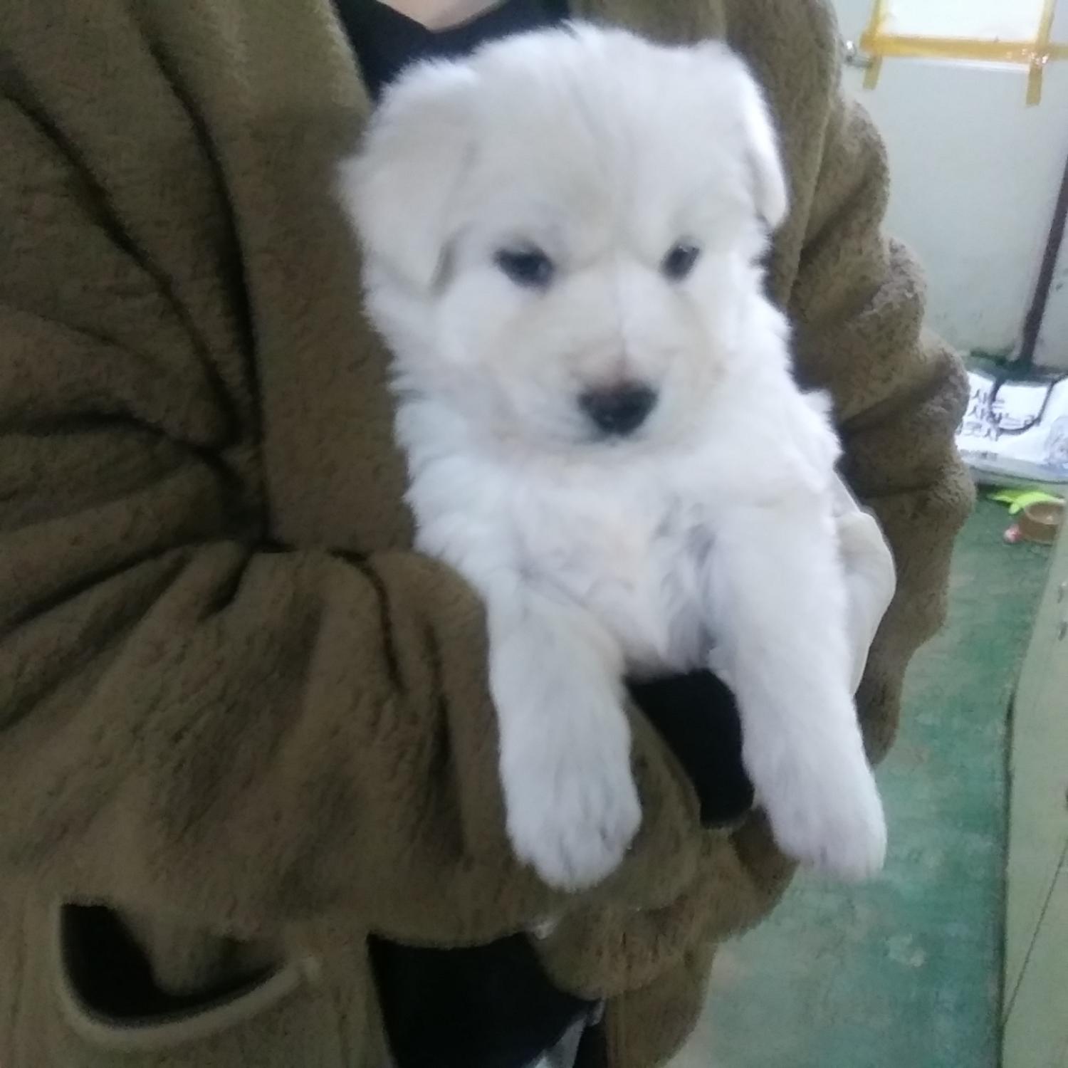 인천광역시수의사회_428353202301281